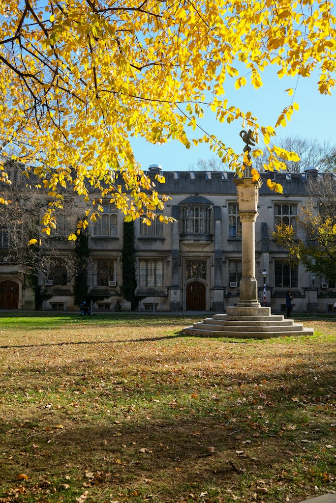 How to Prepare for Fall 2025 Scholarships and Admissions